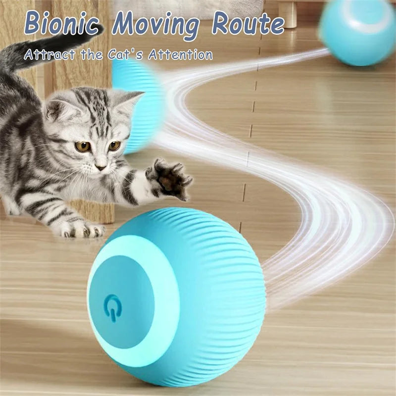 Interactive Electric Toy for Dogs & Cats