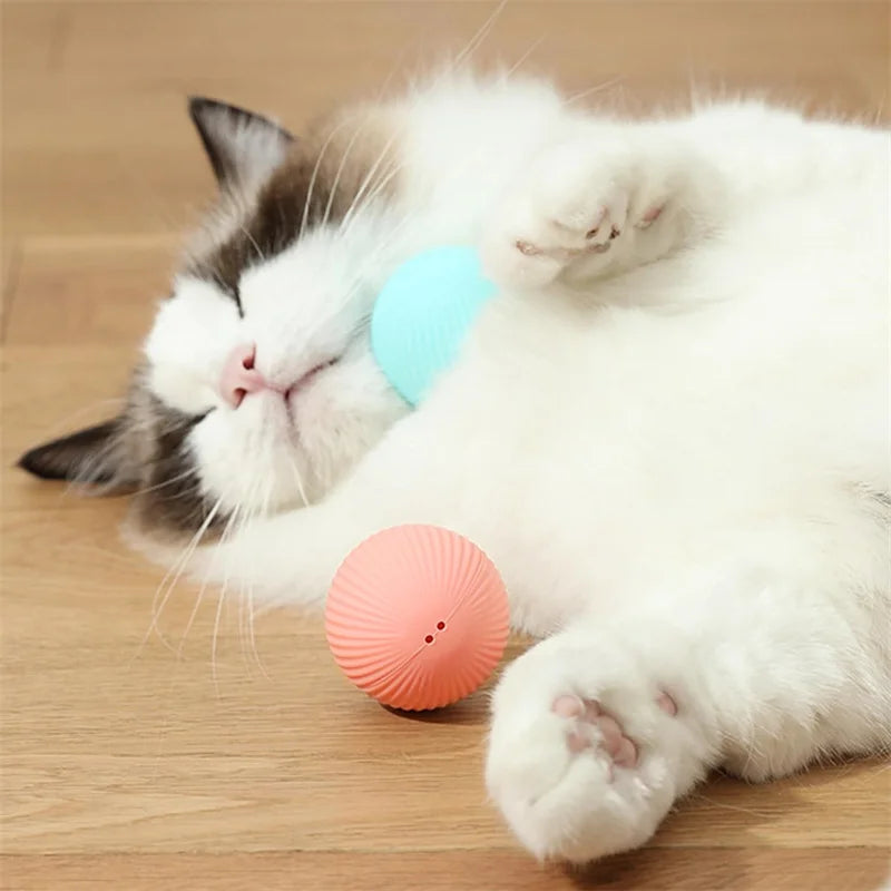 Interactive Electric Toy for Dogs &amp; Cats