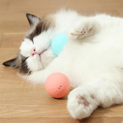 Interactive Electric Toy for Dogs &amp; Cats