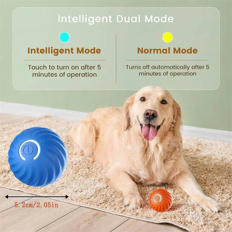 Interactive Electric Toy for Dogs &amp; Cats
