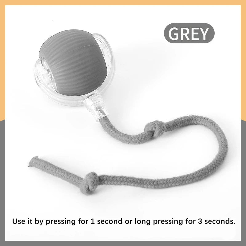 Interactive Electric Toy for Dogs &amp; Cats