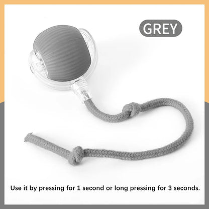 Interactive Electric Toy for Dogs &amp; Cats