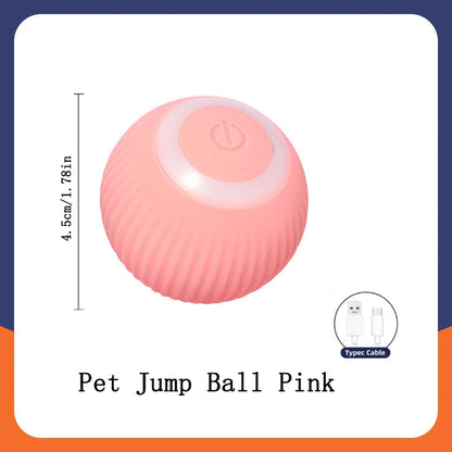 Interactive Electric Toy for Dogs &amp; Cats