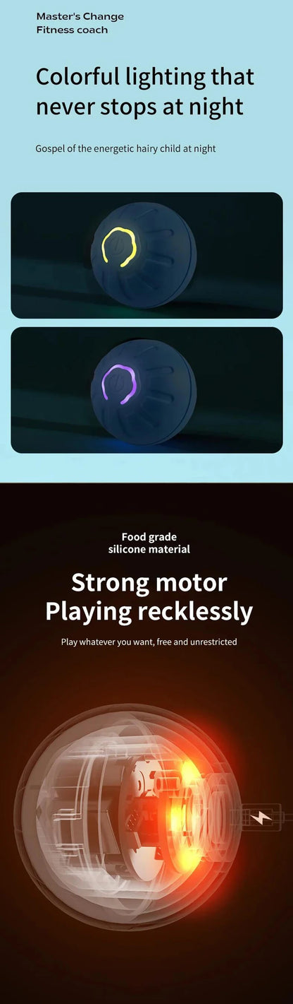 Interactive Electric Toy for Dogs &amp; Cats