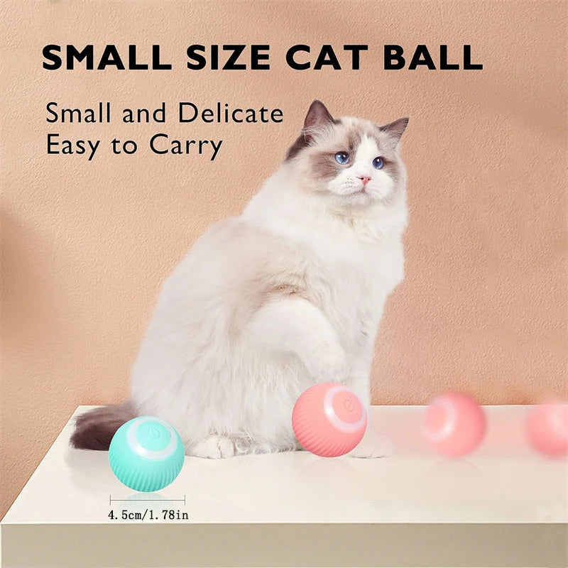 Interactive Electric Toy for Dogs &amp; Cats