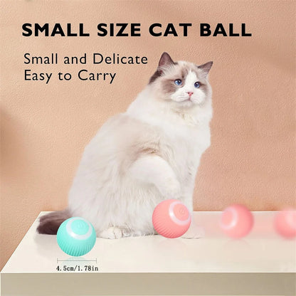 Interactive Electric Toy for Dogs &amp; Cats