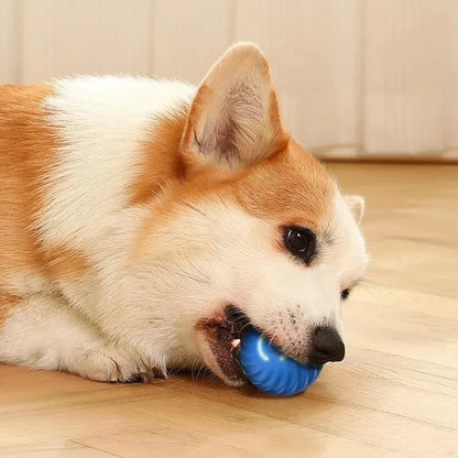 Interactive Electric Toy for Dogs &amp; Cats