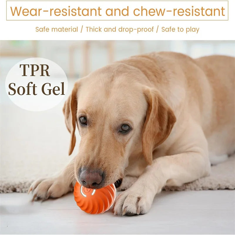 Interactive Electric Toy for Dogs &amp; Cats