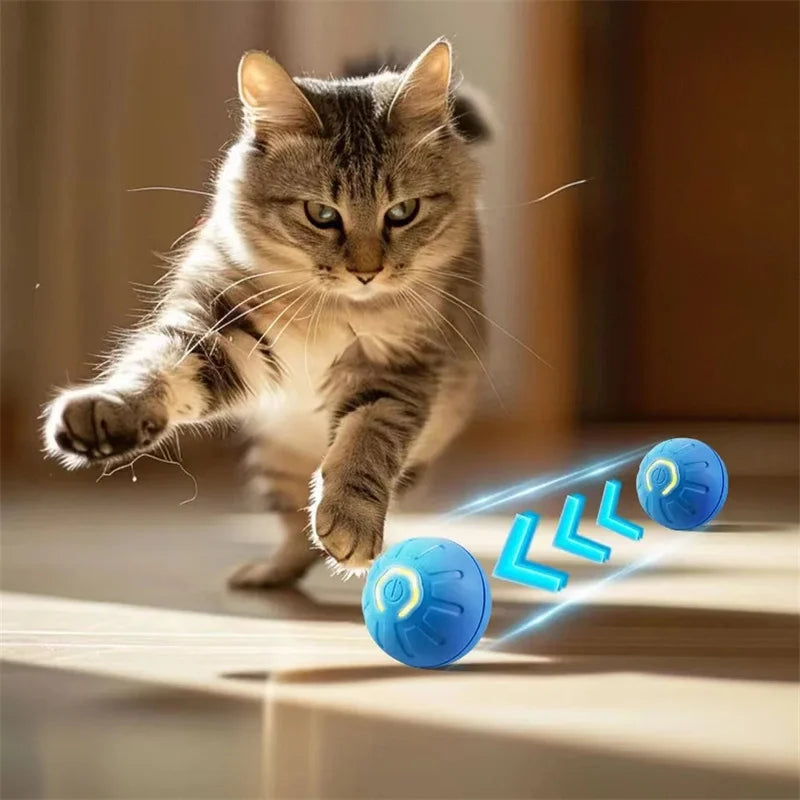 Interactive Electric Toy for Dogs &amp; Cats