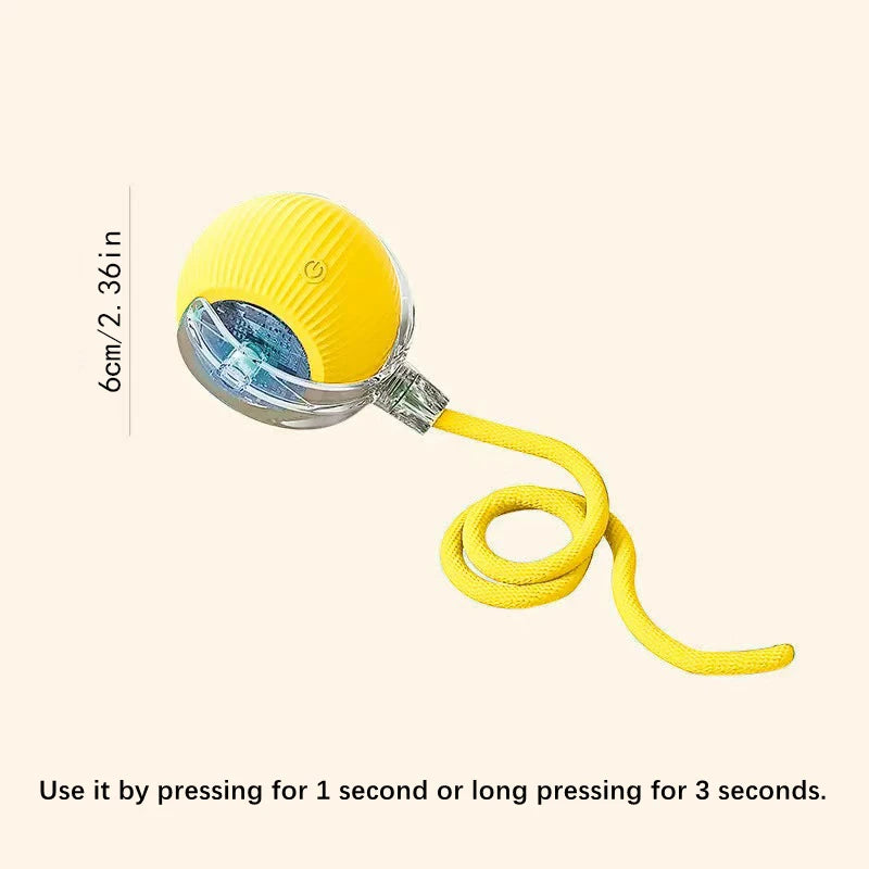 Interactive Electric Toy for Dogs &amp; Cats