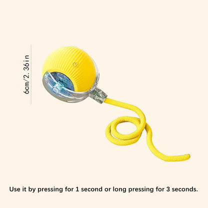 Interactive Electric Toy for Dogs &amp; Cats