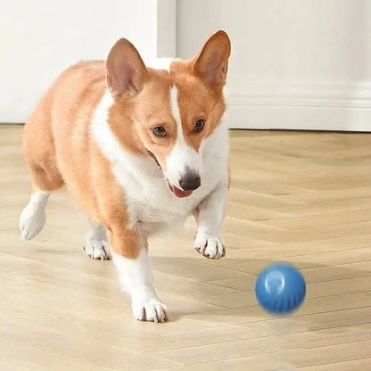 Interactive Electric Toy for Dogs &amp; Cats