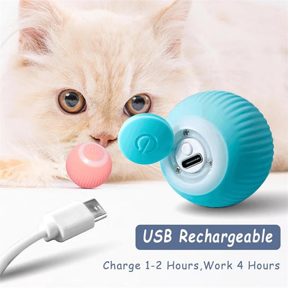 Interactive Electric Toy for Dogs &amp; Cats