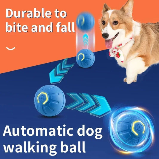 Interactive Electric Toy for Dogs &amp; Cats