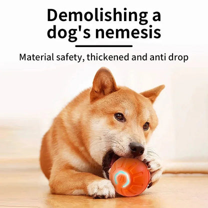 Interactive Electric Toy for Dogs &amp; Cats