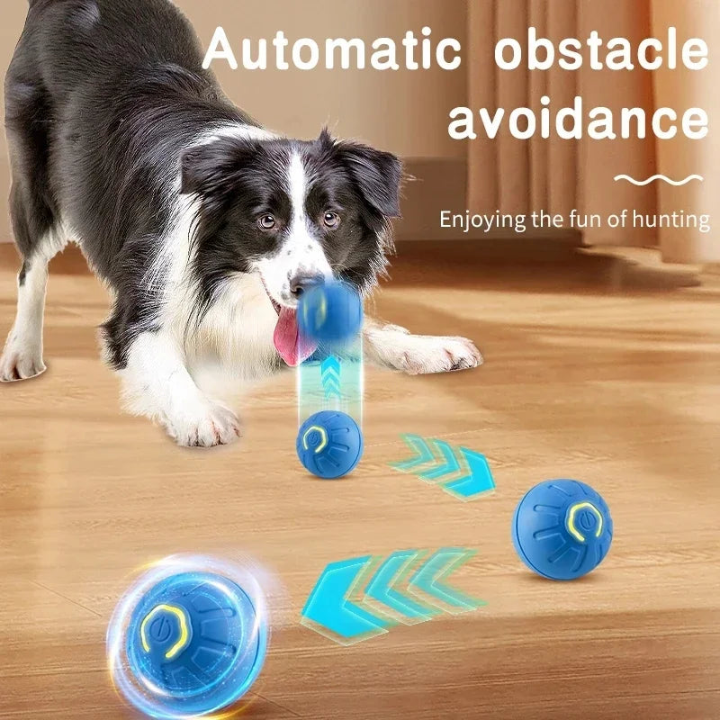 Interactive Electric Toy for Dogs &amp; Cats