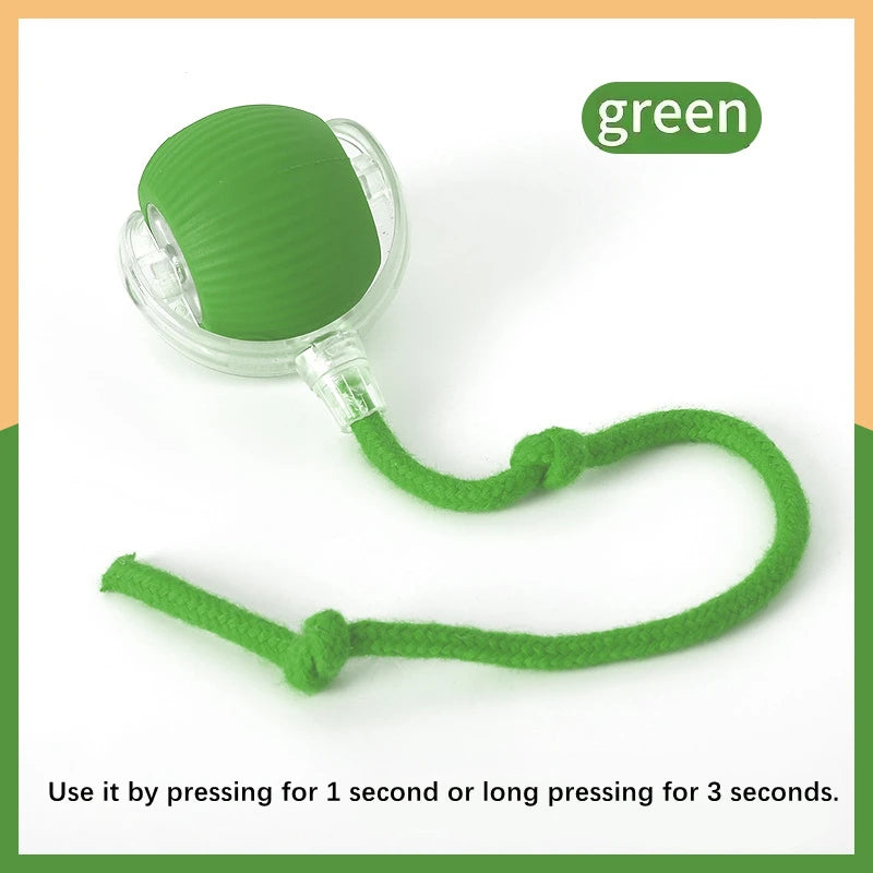 Interactive Electric Toy for Dogs &amp; Cats
