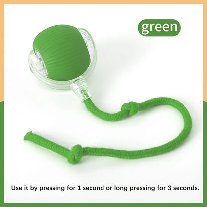 Interactive Electric Toy for Dogs &amp; Cats