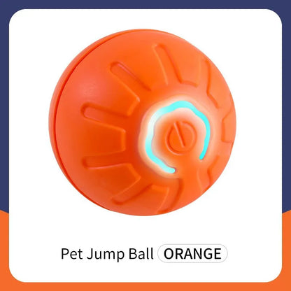 Interactive Electric Toy for Dogs &amp; Cats