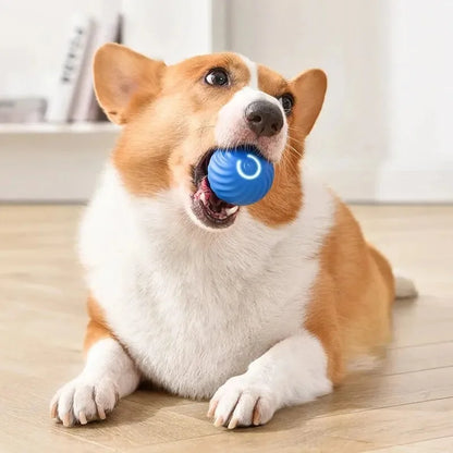 Interactive Electric Toy for Dogs &amp; Cats