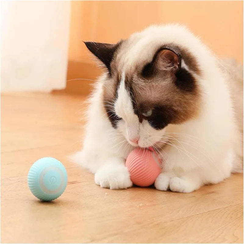 Interactive Electric Toy for Dogs &amp; Cats