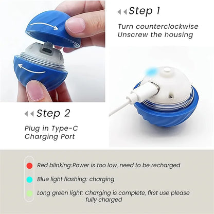 Interactive Electric Toy for Dogs &amp; Cats