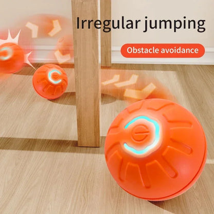 Interactive Electric Toy for Dogs &amp; Cats
