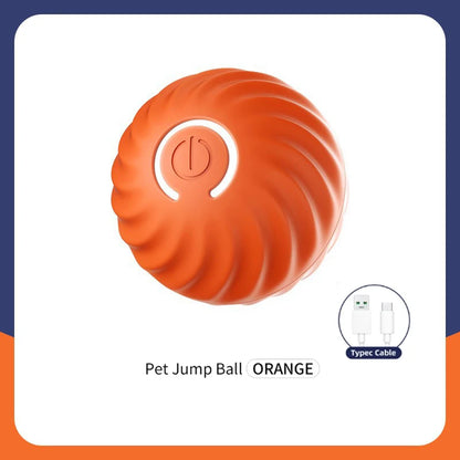 Interactive Electric Toy for Dogs &amp; Cats