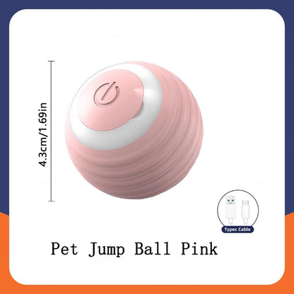 Interactive Electric Toy for Dogs &amp; Cats