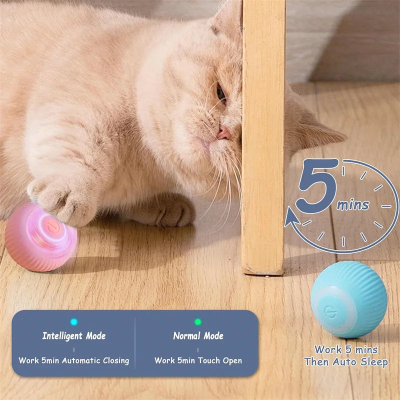 Interactive Electric Toy for Dogs &amp; Cats