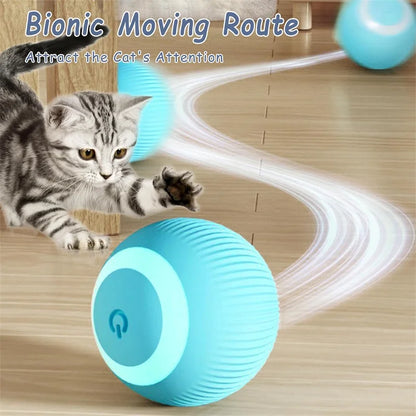 Interactive Electric Toy for Dogs &amp; Cats