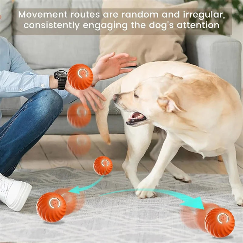 Interactive Electric Toy for Dogs &amp; Cats