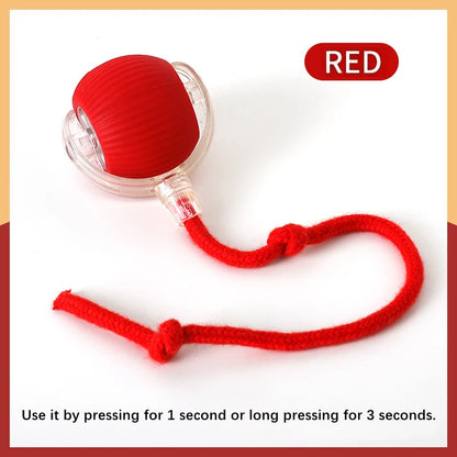 Interactive Electric Toy for Dogs &amp; Cats