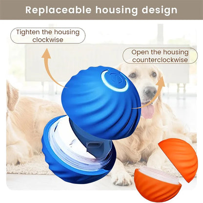Interactive Electric Toy for Dogs &amp; Cats
